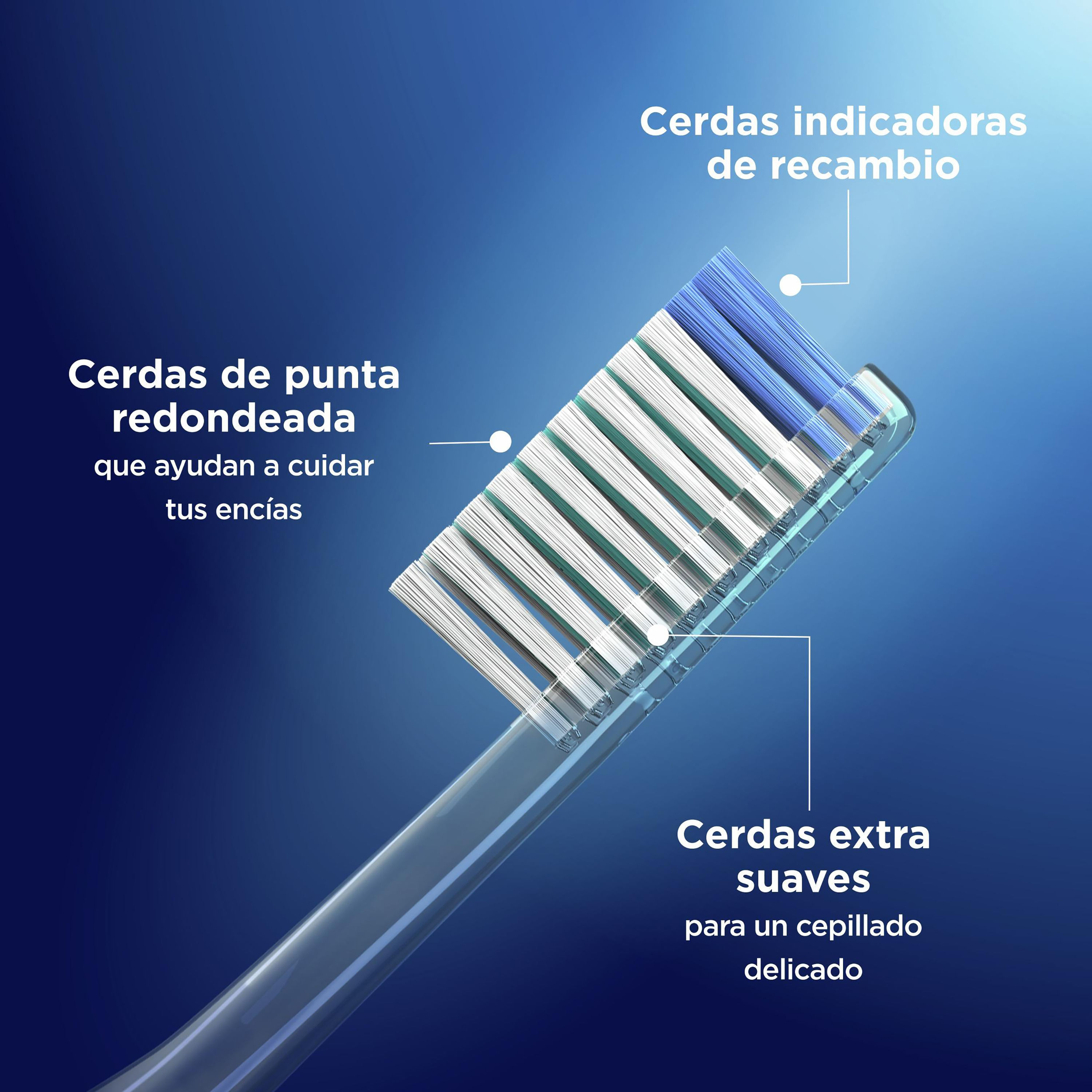ORAL B Repuesto cepillo eléctrico Oral-B sensitive 2 unidades