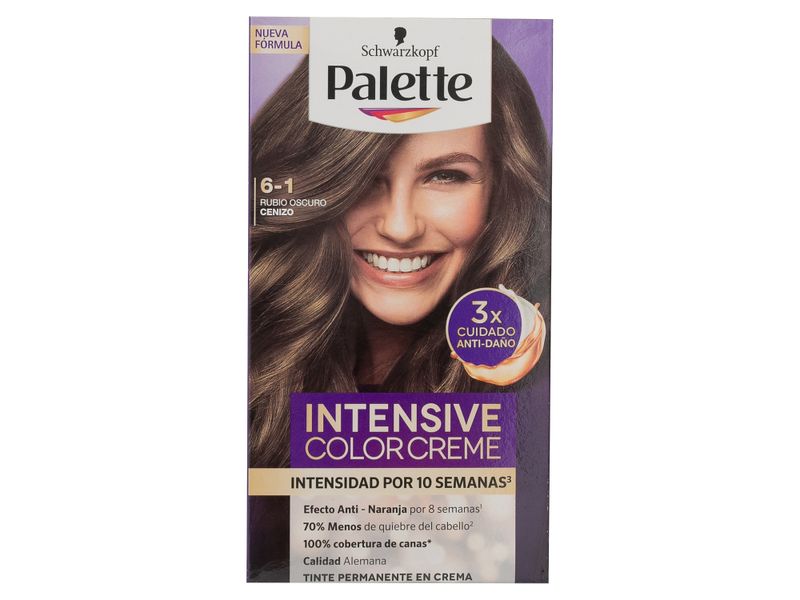 Tinte-Palette-Cc-6-1-Rubio-Oscuro-Cenizo-50ml-1-76236