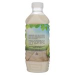 Pulpa-Guanabana-Hortifruti-1000ml-2-47576