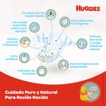 Pa-ales-Huggies-Natural-Care-Etapa-0-Reci-n-Nacido-20U-5-55042