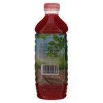 Pulpa-Frutas-Mixtas-HortiFruti-1000ml-3-47559