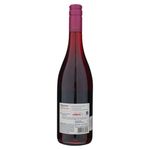 Vino-Rosado-Riunite-Frambuesa-750ml-2-36476