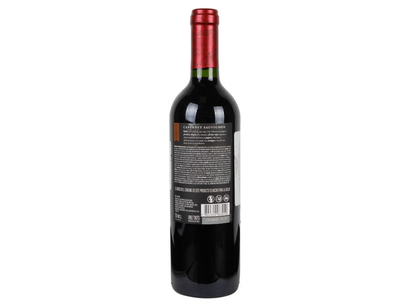 Vino-Vi-a-Maipo-Cabernet-Sauvignon-750ml-2-35159