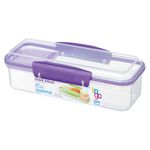 000000000070198656-UN-04