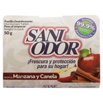 Pastilla-Sani-Odor-Para-Ba-o-Manzana-Canela-50gr-1-84160