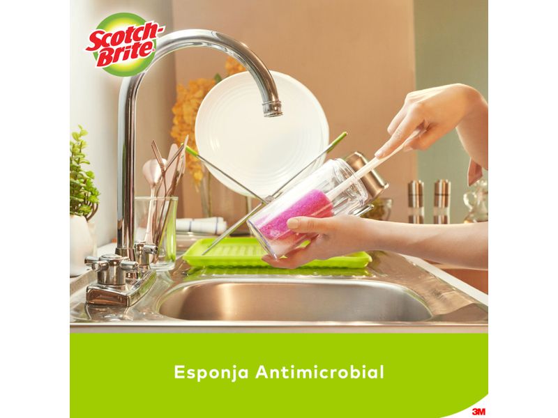 Limpiador-de-Botellas-Scotch-Brite-x-1-unidad-5-48993