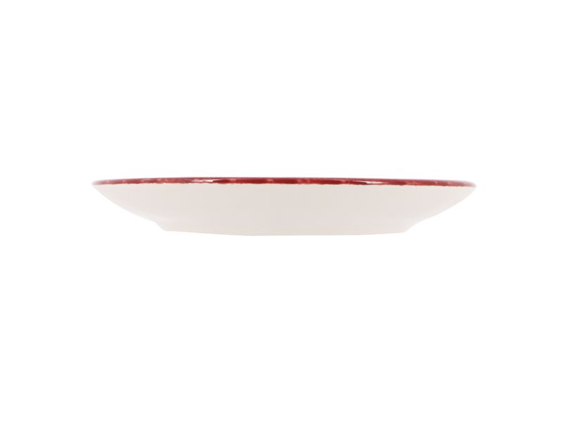 Plato-llano-Marca-Haus-de-loza-10-5-pulgadas-3-83817