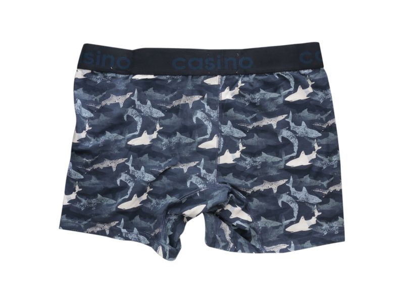 000000000070313564-UN-02