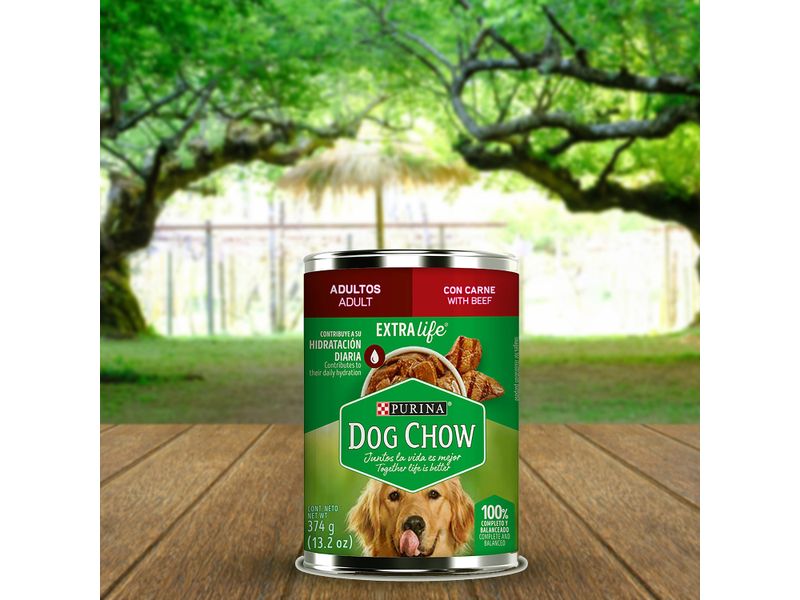 Alimento-H-medo-Perro-Adulto-Marca-Purina-Dog-Chow-Con-Carne-374g-6-26712