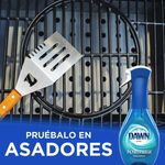 Lavaplatos-Marca-Dawn-Platinum-Powerwash-Aroma-Fresco-473ml-16-81164