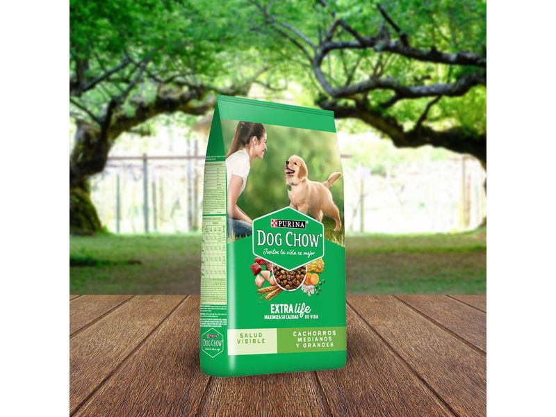 Alimento-Perro-Cachorro-Marca-Purina-Dog-Chow-Medianos-y-Grandes-7-5kg-7-36944