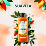 Acondicionador-Herbal-Essences-Bio-Renew-Golden-Moringa-Oil-400-ml-2-26683