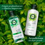 Shampoo-Marca-Herbal-Essences-Detox-T-Verde-Menta-Para-Cabello-Graso-Con-Ra-ces-Grasas-400ml-10-80426