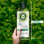 Shampoo-Marca-Herbal-Essences-Detox-T-Verde-Menta-Para-Cabello-Graso-Con-Ra-ces-Grasas-400ml-11-80426