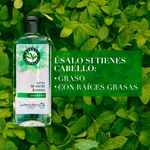 Shampoo-Marca-Herbal-Essences-Detox-T-Verde-Menta-Para-Cabello-Graso-Con-Ra-ces-Grasas-400ml-6-80426