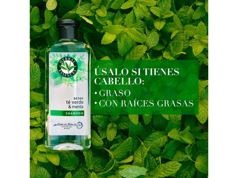 Shampoo-Marca-Herbal-Essences-Detox-T-Verde-Menta-Para-Cabello-Graso-Con-Ra-ces-Grasas-400ml-6-80426