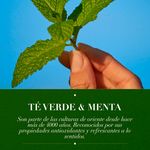 Shampoo-Marca-Herbal-Essences-Detox-T-Verde-Menta-Para-Cabello-Graso-Con-Ra-ces-Grasas-400ml-7-80426
