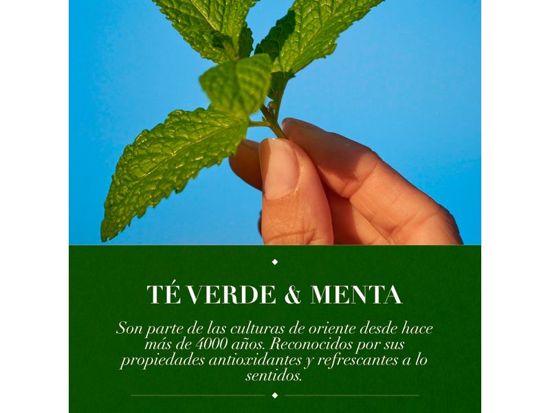Shampoo-Marca-Herbal-Essences-Detox-T-Verde-Menta-Para-Cabello-Graso-Con-Ra-ces-Grasas-400ml-7-80426