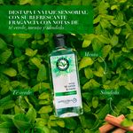 Shampoo-Marca-Herbal-Essences-Detox-T-Verde-Menta-Para-Cabello-Graso-Con-Ra-ces-Grasas-400ml-8-80426