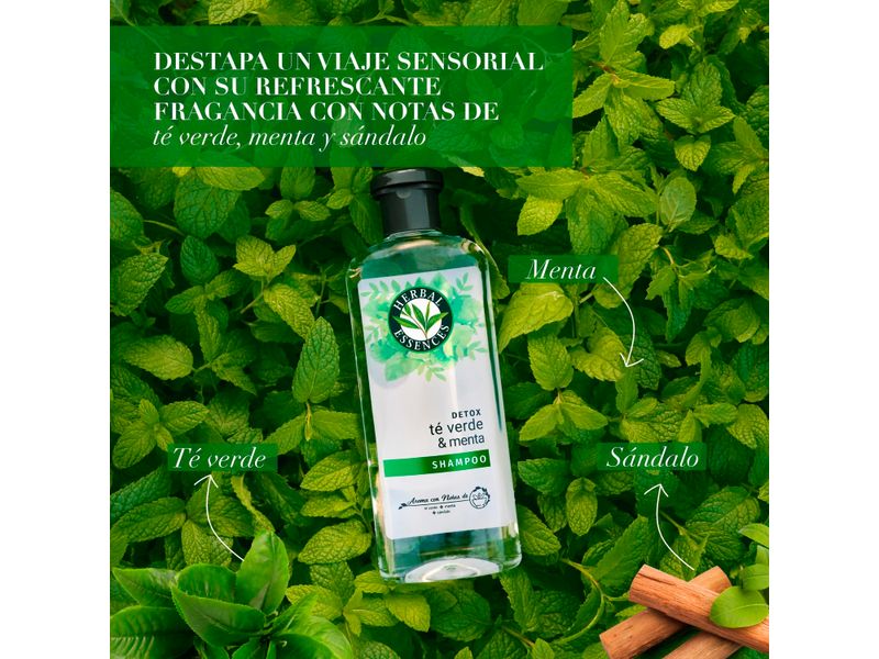 Shampoo-Marca-Herbal-Essences-Detox-T-Verde-Menta-Para-Cabello-Graso-Con-Ra-ces-Grasas-400ml-8-80426