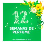 Perlas-Intensificadoras-De-Fragancia-Marca-Gain-Fireworks-Con-Aroma-Original-752g-7-81091