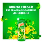 Perlas-Intensificadoras-De-Fragancia-Marca-Gain-Fireworks-Con-Aroma-Original-752g-10-81091