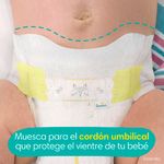 Pa-ales-Pampers-Swaddlers-Pa-ales-S3-136-Unidades-14-68634