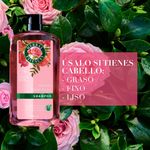 Shampoo-Marca-Herbal-Essences-Smooth-Rose-Hips-865-ml-4-80149