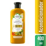 Acondicionador-Herbal-Essences-Bio-Renew-Golden-Moringa-Oil-400-ml-1-26683