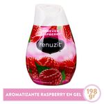 Aromatiz-Renuzit-Cono-Raspberry-198Gr-1-30440