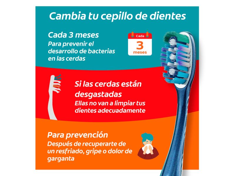 Cepillo-Dental-Marca-Colgate-360-Limpieza-Completa-3-Pack-9-33802