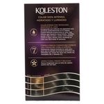 Tinte-Kolestone-Kit-20-Negro-122ml-2-33099