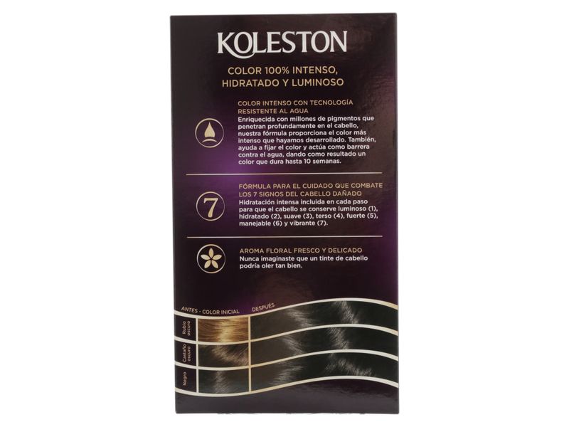 Tinte-Kolestone-Kit-20-Negro-122ml-2-33099