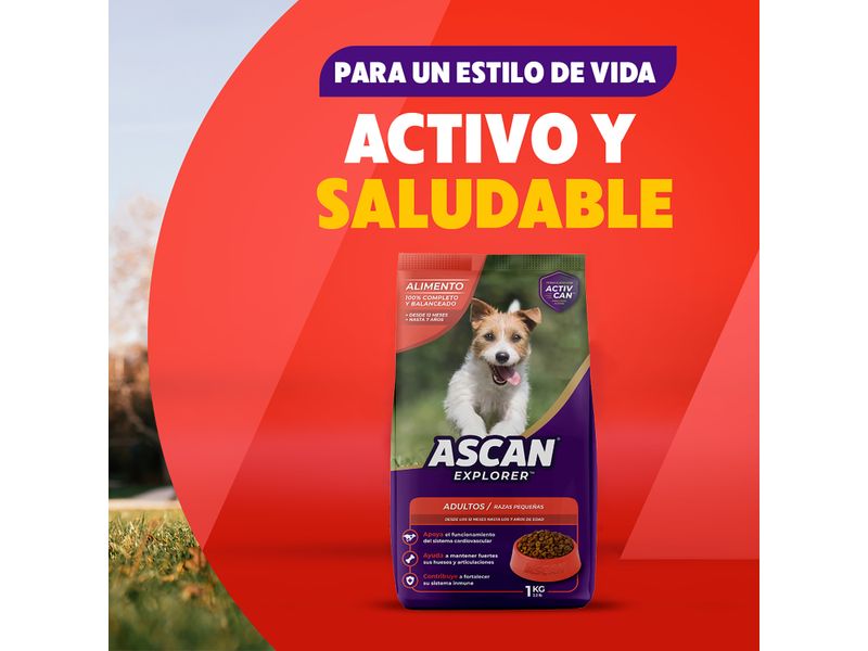 Alimento-Ascan-Adulto-Razas-Peque-as-1000gr-6-74188