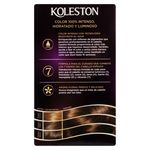 Tinte-Koleston-Kit-40-Casta-o-72gr-2-33113