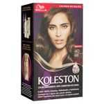 Tinte-Koleston-Kit-40-Casta-o-72gr-5-33113