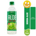 Bebida-Marca-Dos-Pinos-De-Aloe-Natural-500ml-1-28204