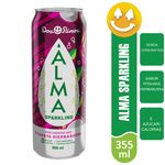 Alma-Sparkling-marca-Dos-Pinos-Pitahaya-Hierbabuena-355ml-1-85248