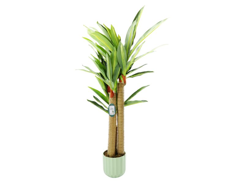 Planta-Artificial-Mainstays-Palo-De-Agua-100-Cm-2-83827