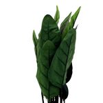 Planta-Artificial-Mainstays-Ave-Del-Paraiso-85-Cm-3-83826