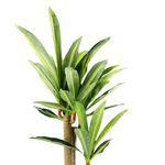 Planta-Artificial-Mainstays-Palo-De-Agua-100-Cm-3-83827