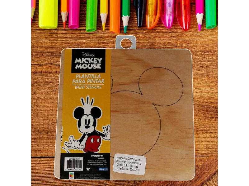 000000000070184846-UN-04