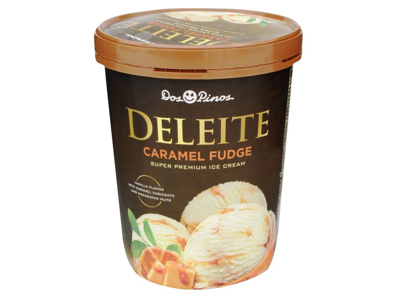 Helado-Dos-Pinos-Deleite-Caramelo-Fud-565gr-19-9oz-1-25686