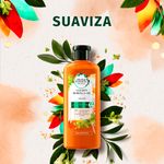Shampoo-Herbal-Essences-Bio-Renew-Golden-Moringa-Oil-400-ml-2-26682