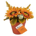 Flores-en-maceta-marca-Way-to-Celebrate-5-89042