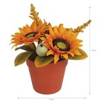 Flores-en-maceta-marca-Way-to-Celebrate-6-89042
