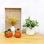 Salero-o-pimentero-marca-Way-to-Celebrate-con-dise-o-de-calabaza-7-89122