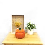 Calabaza-con-tapa-marca-Way-to-Celebrate-de-cer-mica-4-89125