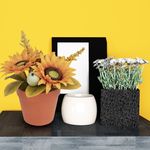 Flores-en-maceta-marca-Way-to-Celebrate-7-89042