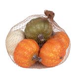 Calabazas-peque-as-marca-Way-to-Celebrate-Set-6-uds-6-91694